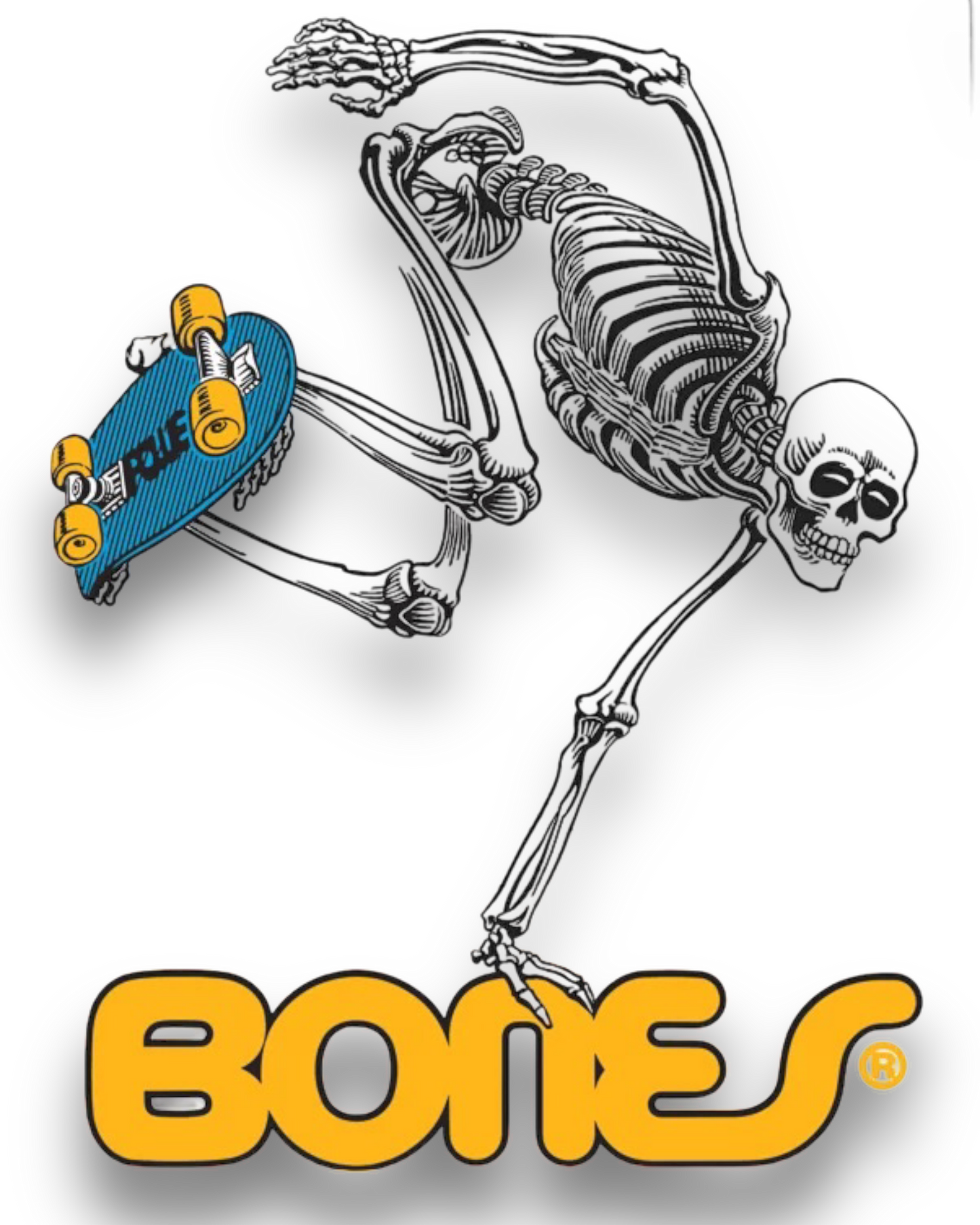 BONES | Powell Peralta Skateboarding Skeleton Clear Sticker 4"